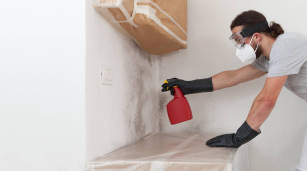Attic Mold Remediation treatment on roof deck in Gloucester